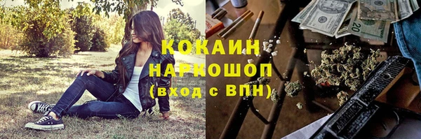 PSILOCYBIN Майский