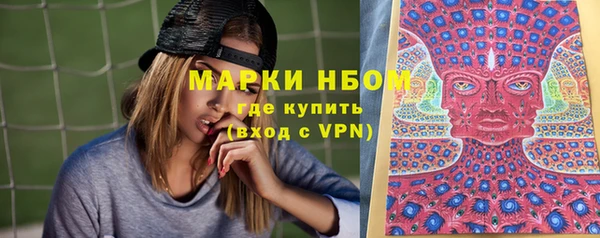 PSILOCYBIN Майский